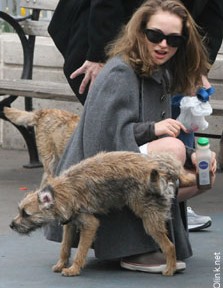 Che differenza c’è tra Natalie Portman e un idrante?